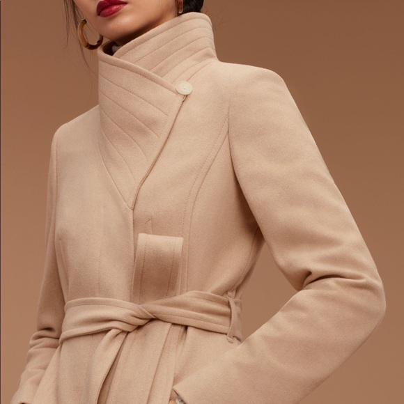 Aritzia Jackets & Blazers - Babaton Cristobal Coat in Tan/Camel
